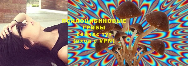 кокаин Вяземский