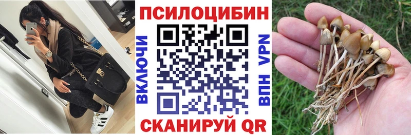 Псилоцибиновые грибы Psilocybine cubensis  Купить закладки  Курлово 